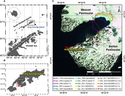 Variability in the Carbon and Nitrogen Uptake Rates of Phytoplankton Associated With Wind Speed and Direction in the Marian Cove, Antarctica